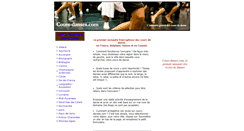 Desktop Screenshot of cours-danses.com